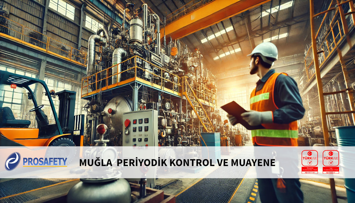 MUĞLA PERİYODİK KONTROL VE MUAYENE